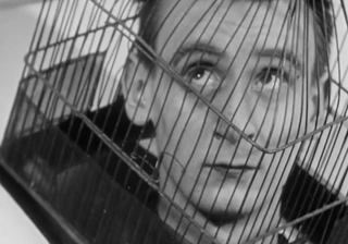 The Cage
